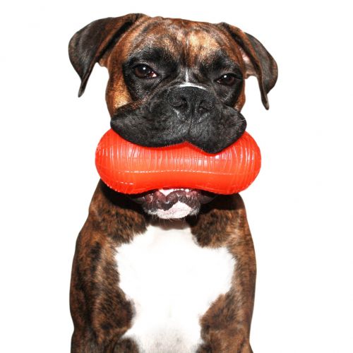  Ruff Dawg Peanut Rubber Dog Toys (Colors Vary)