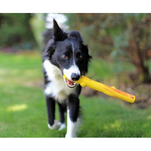  Ruff Dawg Stick Dog Toy, Assorted Colors