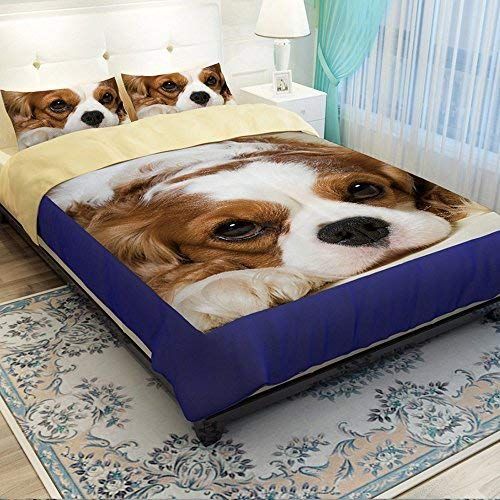  RuiHome Cute Dog Pattern Twin Bed Duvet Cover Set Hidden Zipper Closure Bedding for Teens Kid Boys Girls, 3 Pieces