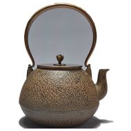 Ruika RUIKA Japanese tetsubin Cast Iron Teapot pure Khaki Kettle 1200ml 40 Ounce