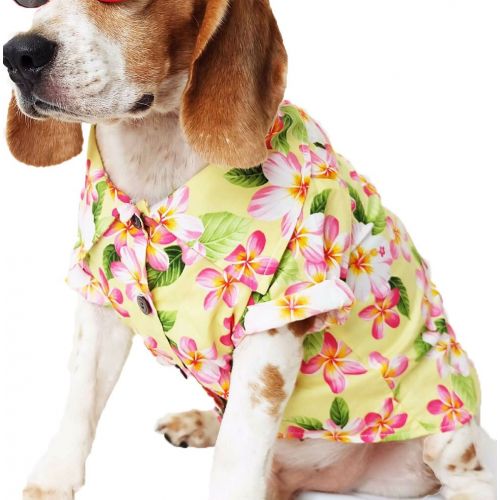  Runncha Shop Runncha shop Dog Shirts Summer Camp,Dog Shirts,Dog Clothes,Small,Medium,Large,Colorful shirts,T Shirt Pet Clothing, Puppy Clothes,Summer Dog Apparel,Hawaiian styles,Yellow flowers