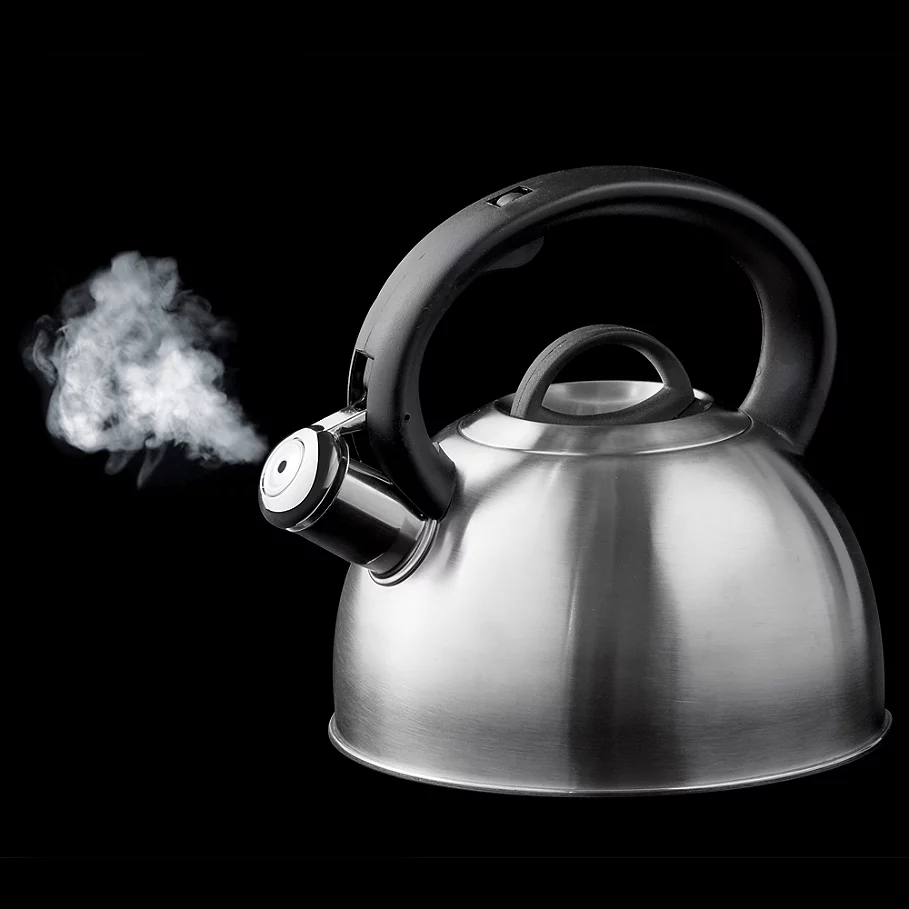  SALT™ Amelia 2.1-Quart Stainless Steel Tea Kettle