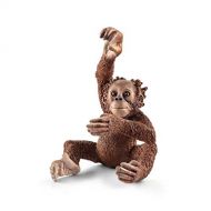 [아마존 핫딜]  [아마존핫딜]SCHLEICH Schleich 14776 - Orang-Utan Junges