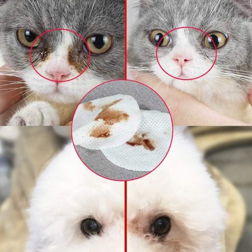  [아마존 핫딜] SEGMINISMART Eye Tear Stain Remover Wipes for Cats & Dogs, Best Natural Eye Crust Treatment for White Fur, 100 Pre Soaked Cotton Pads
