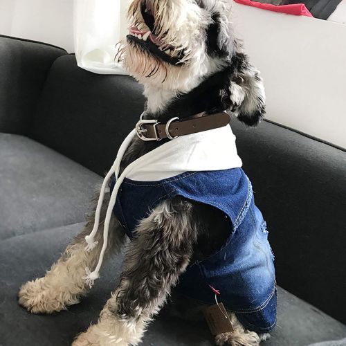  SENERY Winter Pet Dog Clothing Coat,Dog French Bulldog Denim Jacket Jeans Hooded Vest for Pug Cat Pet Costume