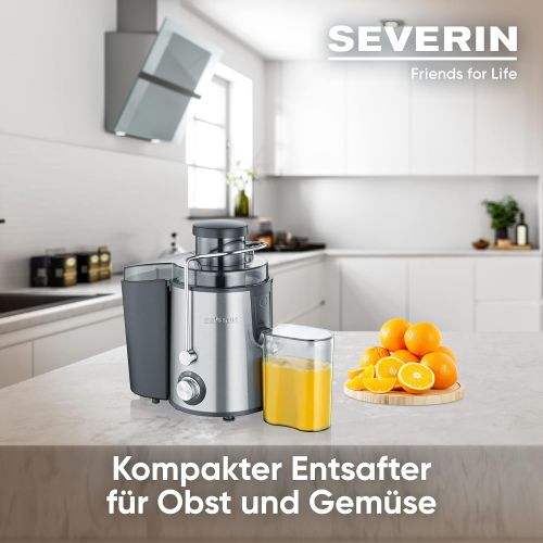  [아마존베스트]Severin ES 3566 Juice Extractor, Stainless steel black