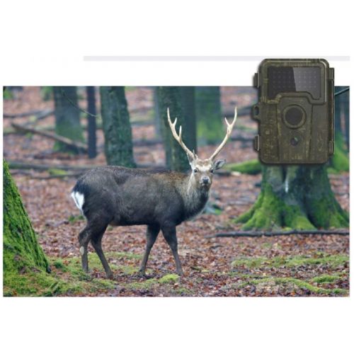  SHOULIEXJ Wild Hunting Camera Monitor Farm Forest Agriculture Monitoring Animal Protection Infrared Sensor Camera, Green, Single Size,Green,A