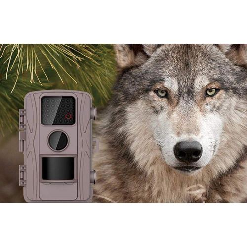  SHOULIEXJ Infrared Monitor Hunting Camera Animal Sensor Trigger Wild Hunting Induction Trigger Camera Wild Hunting,Solid Color,A