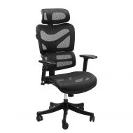 Ergonomic Mesh Office Chair - SIEGES Adjustable Headrest, 3D Flip-up Arms, Back Lumbar Support, High Back Computer Desk Task Executive Chair, Black
