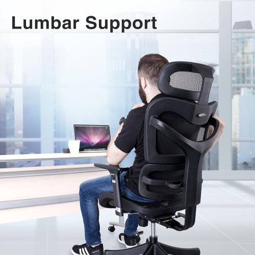  Ergonomic Mesh Office Chair - SIEGES Adjustable Headrest, 3D Flip-up Arms, Back Lumbar Support, High Back Computer Desk Task Executive Chair, Black