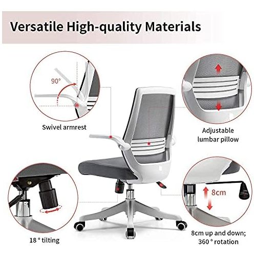  SIHOO Ergonomic Office Chair, Swivel Desk Chair Height Adjustable Mesh Back Computer Chair with Lumbar Support, 90° Flip-up Armrest (Grey)