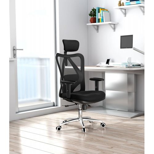  SIHOO Sihoo Ergonomics Office Chair Computer Chair Desk Chair, Adjustable Headrests Chair Backrest and Armrests Mesh Chair (Black)