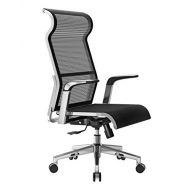 SIHOO Ergonomic Office Chair Computer Desk Chair， Large Headrest High Back Mesh Chair Metal Design Frame Adjustable Swivel Task Chair（Black）