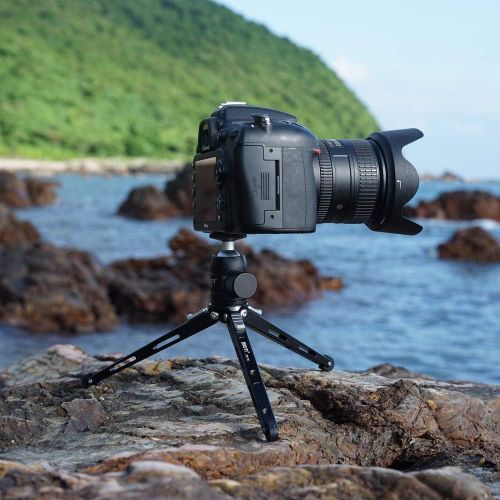  SIOTI Tripod Mini Ball Head Tripod Mount Head-Metal Ballhead 360° Pan 90° Tilt Tripod Mount with 1/4 Screw for Digital Camera/Compact DSLR/Cell Phone/Monopod/Gopro/Light Stand/Ligh