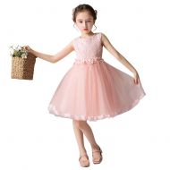 SITENG 2-12Y Girls Sleeveless Pageant Princess Party Dress Ruffles Tutu Dresses Wedding Princess Dress