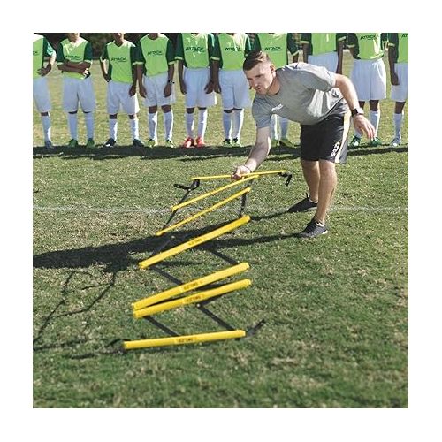 스킬즈 SKLZ Speed and Agility Ladder, Pro, 10'