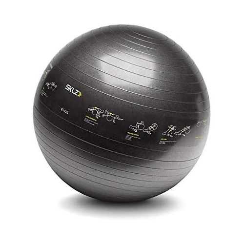 스킬즈 [아마존베스트]SKLZ Sport Performance 65cm Exercise Ball with Self-Guided Workout Illustrations