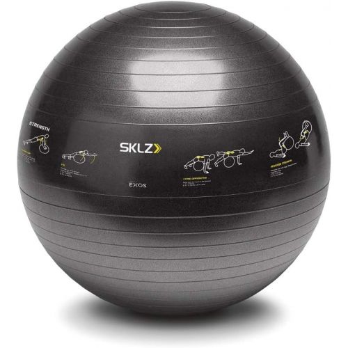스킬즈 SKLZ Sport Performance Exercise Ball - Self-Guided Illustrations