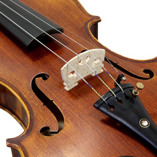  SKY 12 Size SKYVNSH100 Premium Hand Carved Ebony Fitted Violin Outfit