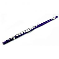 SKY Sky C Flute with Lightweight Case, Cleaning Rod, Cloth, Joint Grease and Screw Driver - BlueSilver Closed Hole