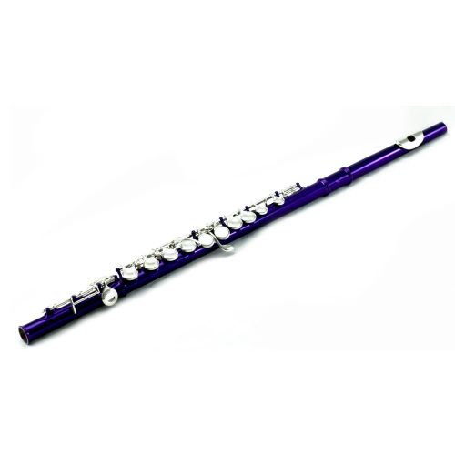  SKY Sky C Flute with Lightweight Case, Cleaning Rod, Cloth, Joint Grease and Screw Driver - BlueSilver Closed Hole