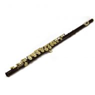SKY Sky C Flute with Lightweight Case, Cleaning Rod, Cloth, Joint Grease and Screw Driver - BlackGold Closed Hole