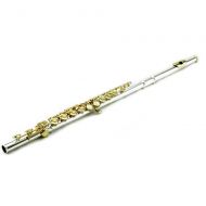 SKY Sky C Flute with Lightweight Case, Cleaning Rod, Cloth, Joint Grease and Screw Driver - SilverGold Closed Hole