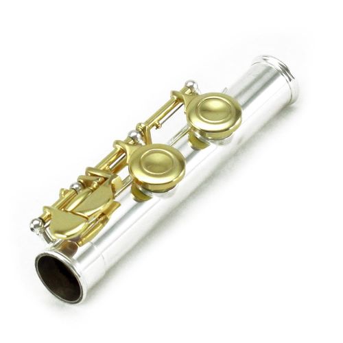  SKY Sky C Flute with Lightweight Case, Cleaning Rod, Cloth, Joint Grease and Screw Driver - SilverGold Closed Hole