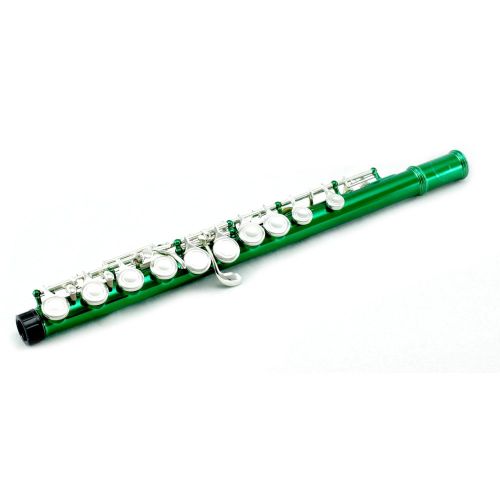  SKY Sky C Flute with Lightweight Case, Cleaning Rod, Cloth, Joint Grease and Screw Driver - GreenSilver Closed Hole