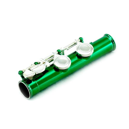  SKY Sky C Flute with Lightweight Case, Cleaning Rod, Cloth, Joint Grease and Screw Driver - GreenSilver Closed Hole