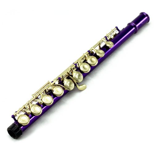  SKY Sky C Flute with Lightweight Case, Cleaning Rod, Cloth, Joint Grease and Screw Driver - PurpleGold Closed Hole