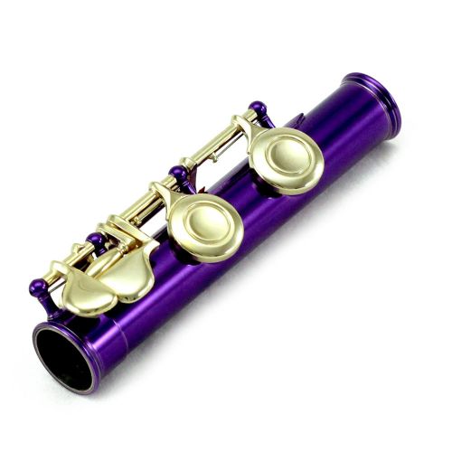  SKY Sky C Flute with Lightweight Case, Cleaning Rod, Cloth, Joint Grease and Screw Driver - PurpleGold Closed Hole