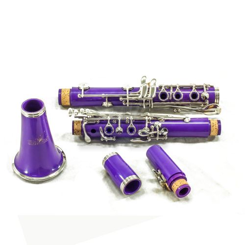  SKY Purple ABS Bb Clarinet with Case, Mouthpiece, 11 Reeds, Care kit and more