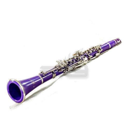  SKY Purple ABS Bb Clarinet with Case, Mouthpiece, 11 Reeds, Care kit and more