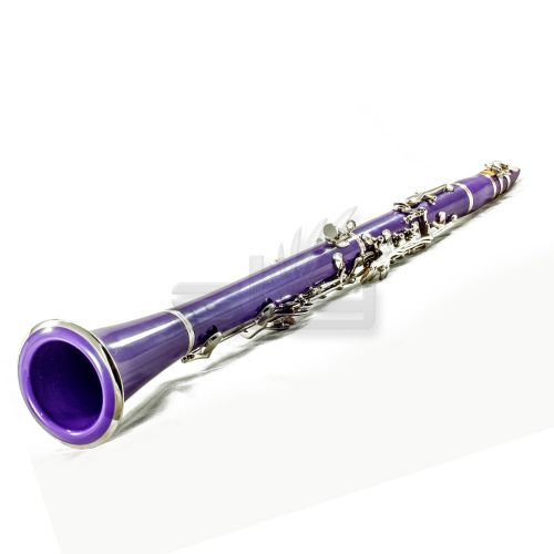  SKY Purple ABS Bb Clarinet with Case, Mouthpiece, 11 Reeds, Care kit and more