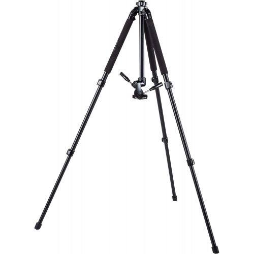  SLIK Pro 700DX Tripod KIT with 3-Way Pan & Tilt Head, for Mirrorless/DSLR Sony Nikon Canon Fuji Cameras and More - Black (615-316)