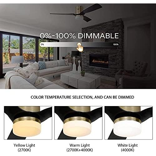  SMAAIR 52 Inch Smart Ceiling Fan with Lights, 10-speed DC Motor Ceiling Fan Works with Remote Control/Alexa/Google Home/Siri Shortcut, Dimmable LED Light (Black/Gold, New)