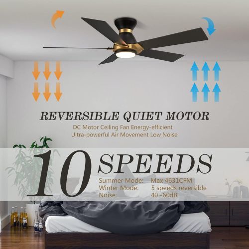 SMAAIR Smart Wifi LED Ceiling Fan in Damp Location Available, 52inch Plywood smart ceiling fan with Remote, App control with Timer and Schedule, Compatible with Alexa/Google Assistant/Sir