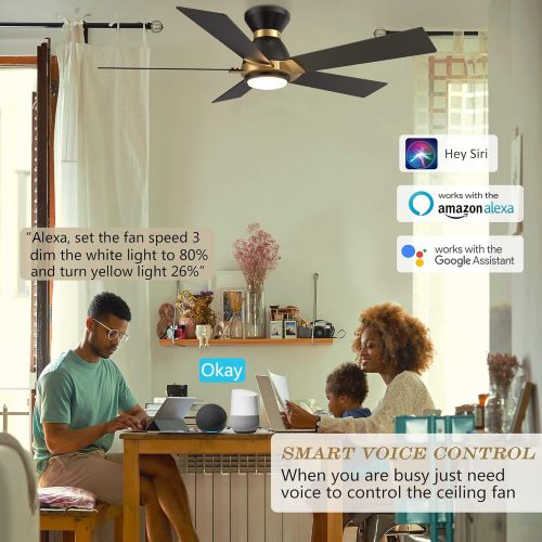  SMAAIR Smart Wifi LED Ceiling Fan in Damp Location Available, 52inch Plywood smart ceiling fan with Remote, App control with Timer and Schedule, Compatible with Alexa/Google Assistant/Sir