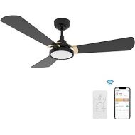 SMAAIR 56 Inch 3 Blade Ceiling Fan with Light, 10-speed Smart Fan Works with Remote Control/Alexa/Google Home/Siri/App, Timer/Schedule, Dimmable LED Light (Black/Gold)