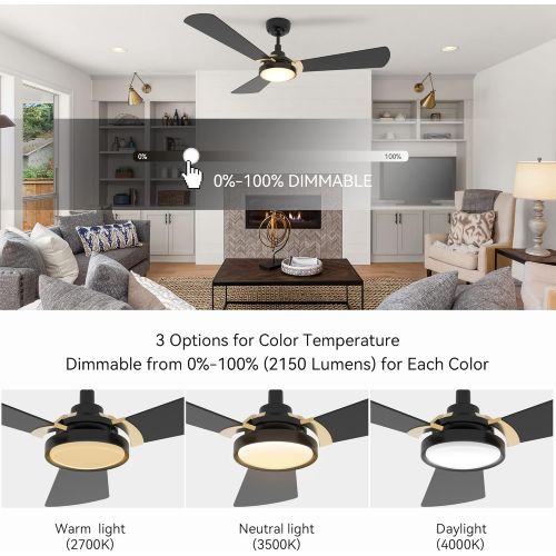  SMAAIR 56 Inch 3 Blade Ceiling Fan with Light, 10-speed Smart Fan Works with Remote Control/Alexa/Google Home/Siri/App, Timer/Schedule, Dimmable LED Light (Black/Gold)