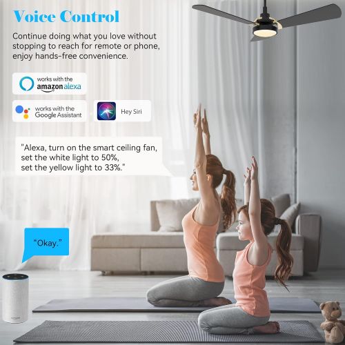  SMAAIR 56 Inch 3 Blade Ceiling Fan with Light, 10-speed Smart Fan Works with Remote Control/Alexa/Google Home/Siri/App, Timer/Schedule, Dimmable LED Light (Black/Gold)