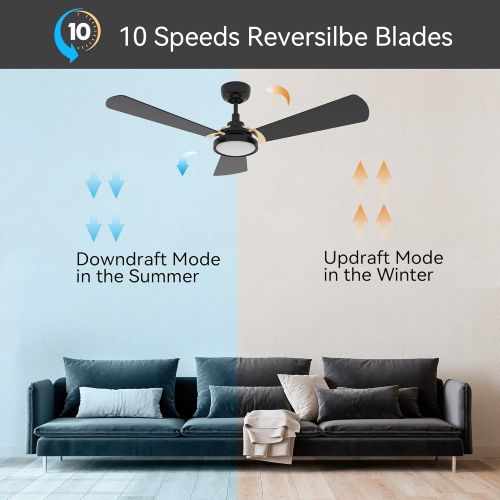  SMAAIR 56 Inch 3 Blade Ceiling Fan with Light, 10-speed Smart Fan Works with Remote Control/Alexa/Google Home/Siri/App, Timer/Schedule, Dimmable LED Light (Black/Gold)