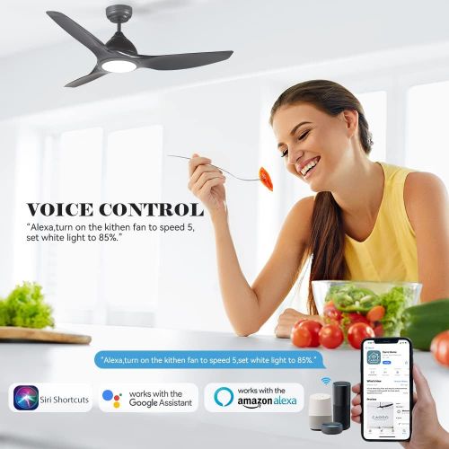  SMAAIR 52 inch Smart Ceiling Fan with Remote Control, Outdoor & Indoor Low Profile Modern Ceiling Fans with LED Light Kit, Dimmable & Timer with 10 Speeds, Works with WIFI/Alexa/Google Ho