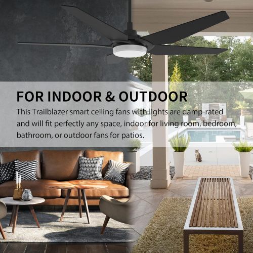  SMAAIR 5 Blades Outdoor Smart Ceiling Fan - with Dimmable Light Kit and 10-speed DC Motor, Works with Remote Control/Alexa/Google Home/Siri, Timer, Schedule (Black)