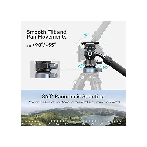  SmallRig CH20 Video Head with Leveling Base, Quick Release Plate for Arca Swiss and Adjustable Handle, Tripod Pan Tilt Head Fluid Head for Compact Cameras DSLR Cameras, Load up to 8.8lb/4kg-4170B