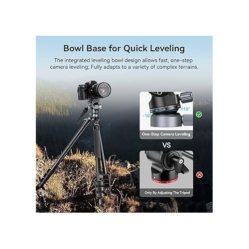  SmallRig CH20 Video Head with Leveling Base, Quick Release Plate for Arca Swiss and Adjustable Handle, Tripod Pan Tilt Head Fluid Head for Compact Cameras DSLR Cameras, Load up to 8.8lb/4kg-4170B
