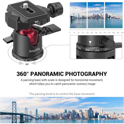  SmallRig Mini Ball Head, Tripod Head Camera 360° Panoramic with 1/4 Screw 3/8 Thread Mount and Arca-Type QR Plate Metal Ball Joint for Monopod, DSLR, Phone, Gopro, Max Load 4.4lbs/