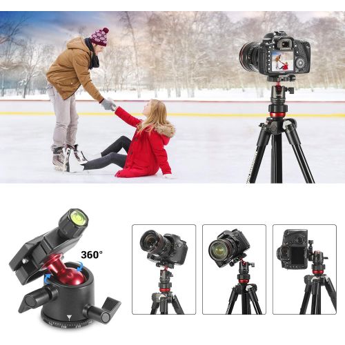  SmallRig Mini Ball Head, Tripod Head Camera 360° Panoramic with 1/4 Screw 3/8 Thread Mount and Arca-Type QR Plate Metal Ball Joint for Monopod, DSLR, Phone, Gopro, Max Load 4.4lbs/