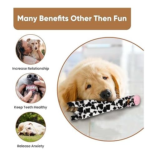  SPOT Skinneeez Crinklers | Stuffless Dog Toys with Squeaker For Small Dogs | Crinkle Toy For Small Puppies | 23